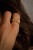 IMG_1435.jpeg